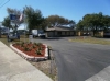 Mango self storage from Uncle Bob's Self Storage - Tampa - 6010 E Hillsborough Ave