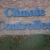 Uncle Bob's Self Storage - Aurora  - Thumbnail 5